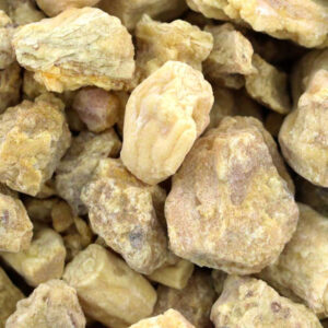 INCENSO SAL TREE 500 GR