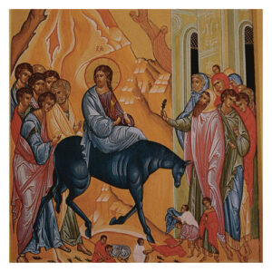 BUSTE PER ULIVO / PALME PASQUA CONF 200PZ