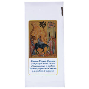 BUSTE PER ULIVO / PALME PASQUA CONF 200PZ